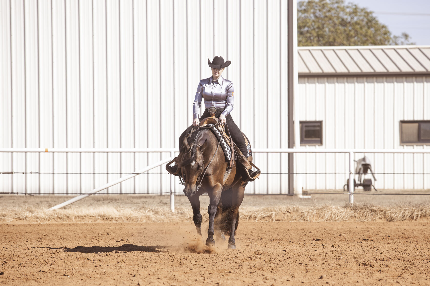 equestrian rider